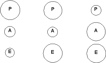 trans2.gif (1844 octets)